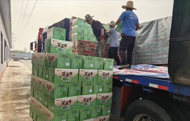 Vart tog 70 g spenatnudlarna vägen efter att ha lastats i Qinhuangdao? Hur betjänar Dongyang Food samtidigt både inhemska och internationella marknader?