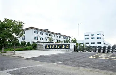 Med en investering på 250 miljoner RMB och en fabrik på 40 000㎡ har Dongyang Foods byggt en stark grund för högkvalitativ produktion av snabbnudlar.
