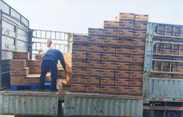 Hur många checkpoints måste en Mala Tang (kryddig varm gryta) nudelpannkaka gå igenom innan den lastas på en lastbil i Shenyang?
