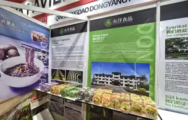 Vill du köpa icke-stekta nudlar i Malaysia? Qinhuangdao Dongyang Food Showcases på International Halal Exhibition