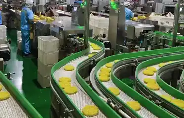 Hur man väljer säkra instant nudelblock? En titt inuti Qinhuangdao Dongyang Food Workshop